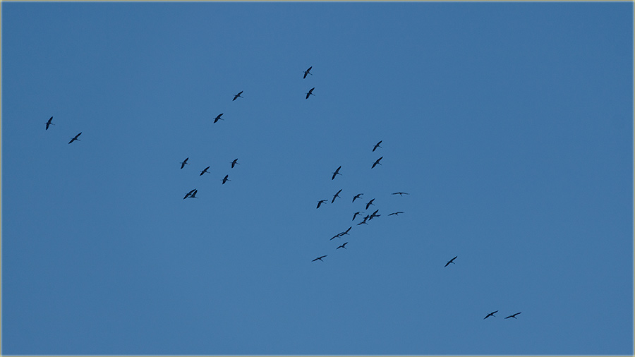 I jo edna, lepa vest iz NM-a !!!