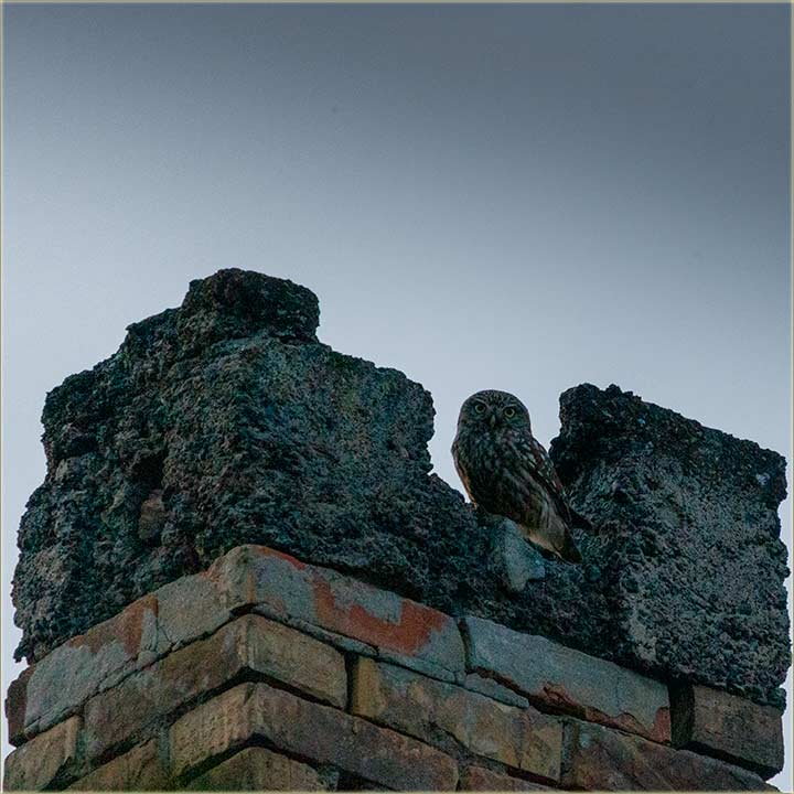 Vratijo se Sovac !!!