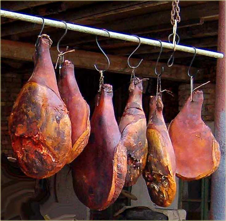 Banatcki smo mladi patizani !!!