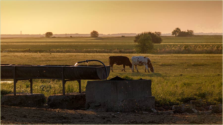 Jel jo radi uniki bunar ?