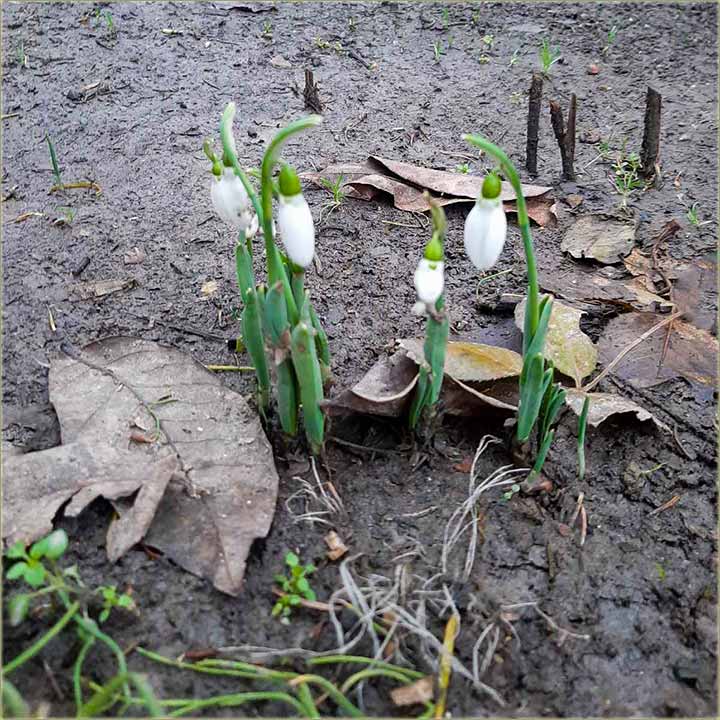 Imamo vesnike, da prolee stie, a kodNs u NM !!!