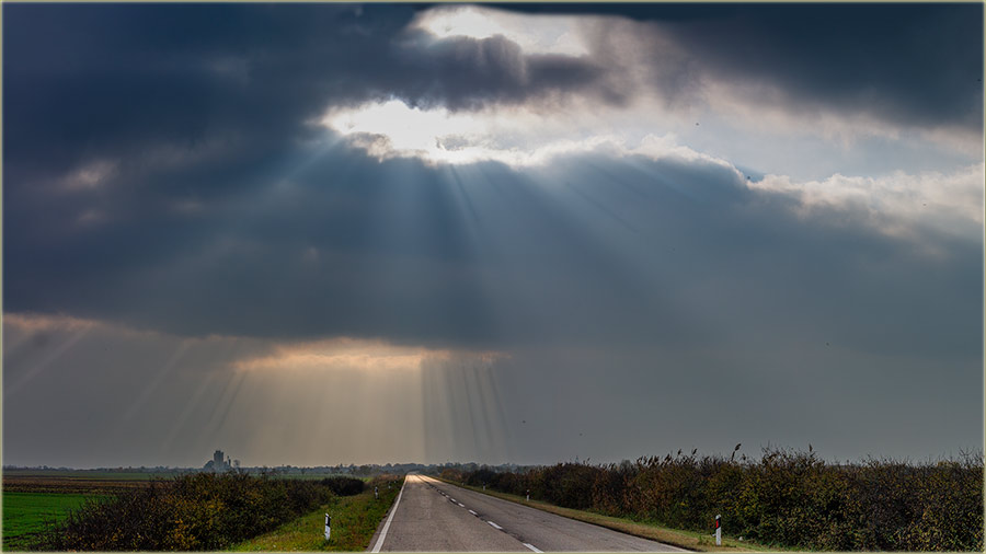 Ladies and Gentlemen..., Welcome to NM !!!