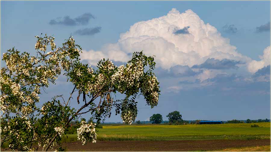 Na ega sve mirii na atar..., ovi dana ?