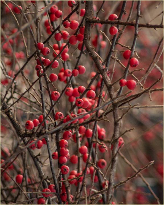 Sad je prvo vreme za branje, a i aj od ipka !!!