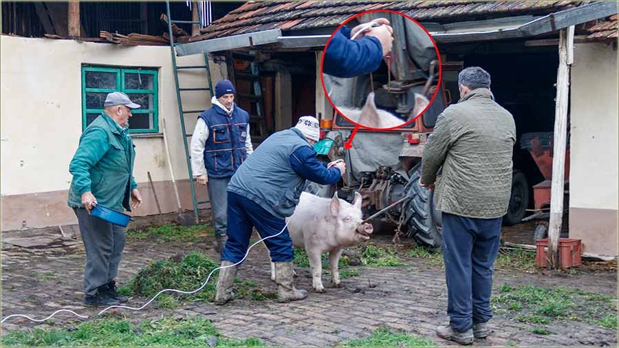 Praznici, svêci... i jo edan disnator II ..