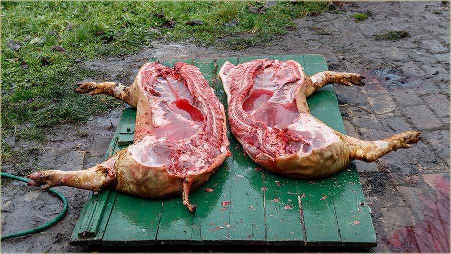 Praznici, svêci... i jo edan disnator IV ..