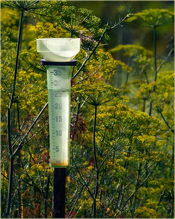 Napadalo je kie..., odJedared !!!