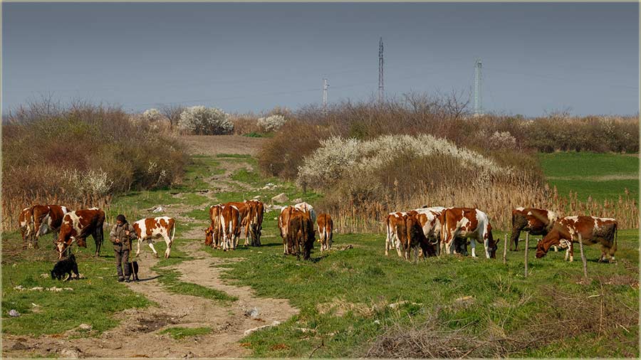 A atar..., naProsto māmi...