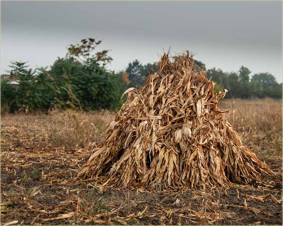 Kûpa tulaja..., ogrev, sIgraka, spavanje...