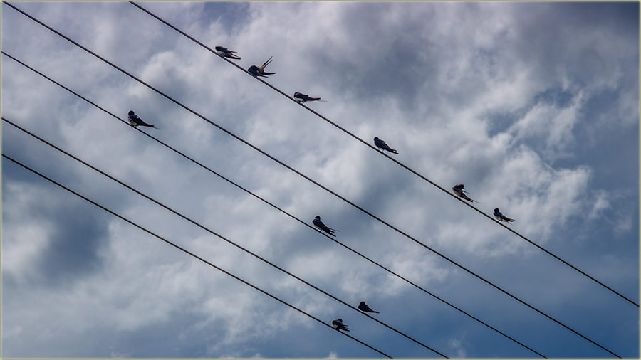 Rode su nam odLetile..., a laste su nam jo tu !!!