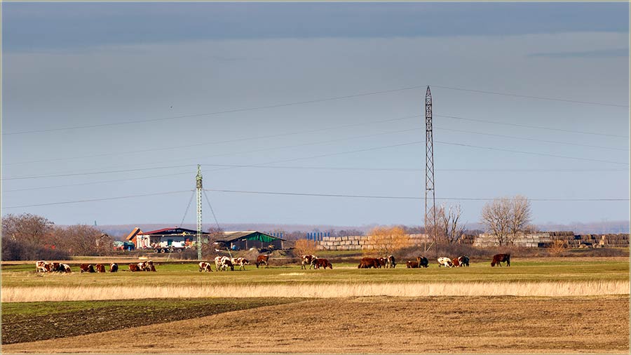 IjOpet lepo vreme !!!