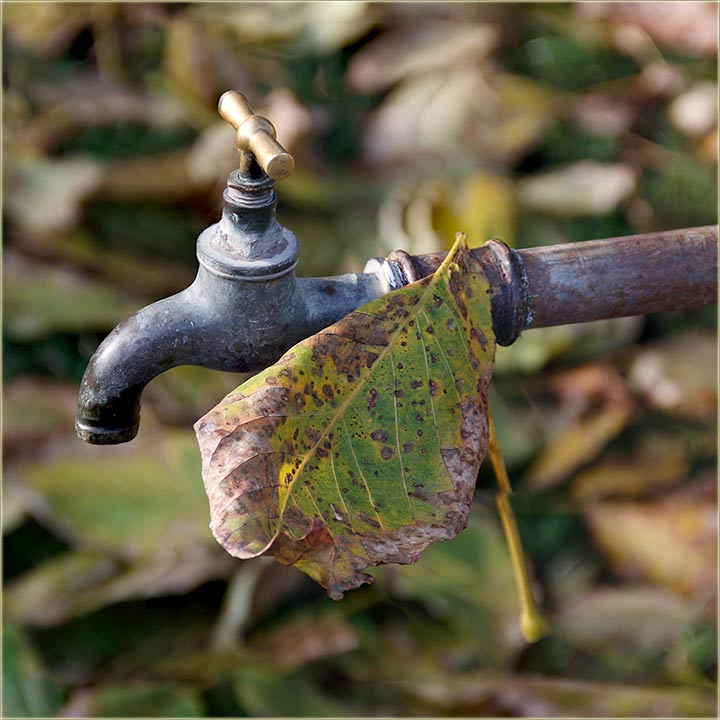 I kodNs u Miloevo, je oplijo prvi mraz !!!