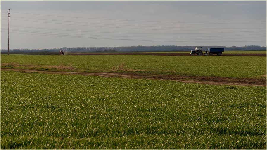 Ministarstvo protivu poljaPrivrede drei kesu !!!