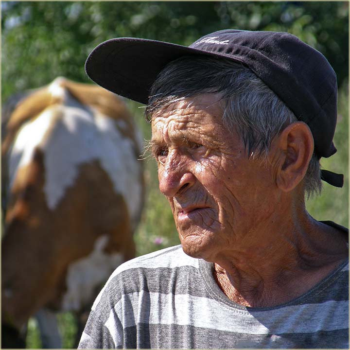 Minja Beli - Jaroki - 2008-e godine...