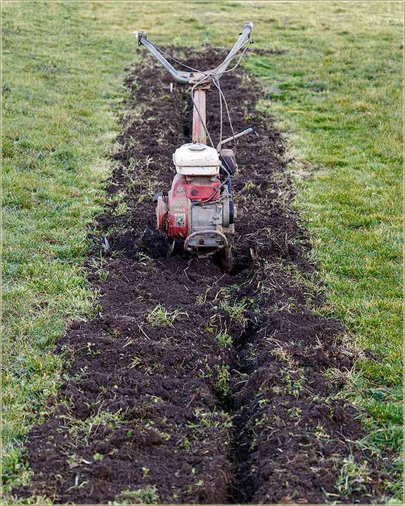 Poela je batenska sizona, kodNs u Miloevo !!!