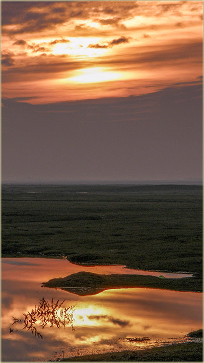 Boe, oel nam svanuti..., iduog ponedeljnika ?
