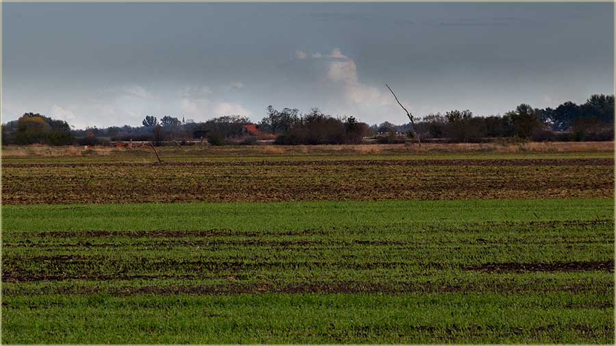 Lepo je niknulo ito..., ni brige nama !!!