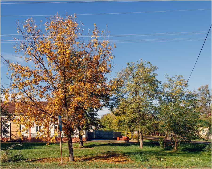 Jeste..., al..., jeste po miloevaki..., al...