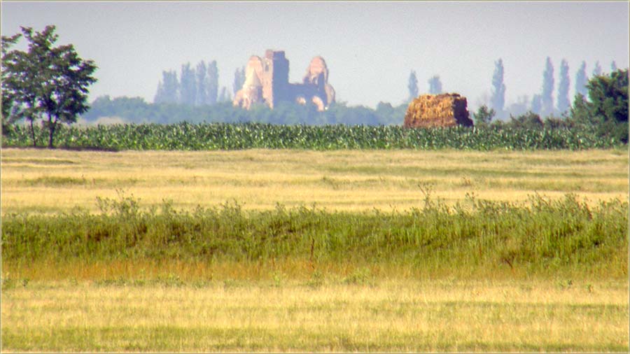Počinje leto, a kodNas u Miloševo !!!