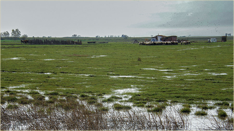 Posla jesenje kie, a uAtar...