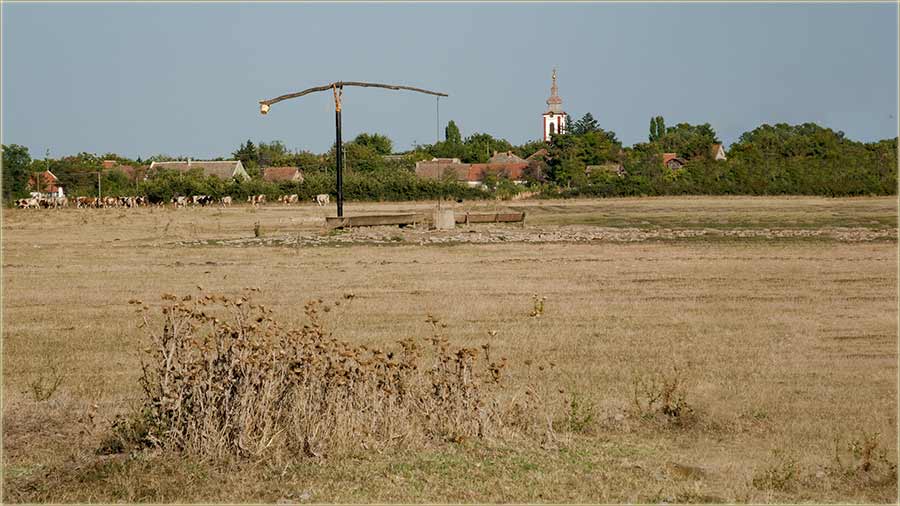 Pre petnajst godina...