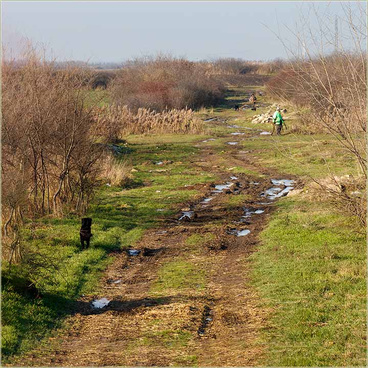 Uvek je bilo... i bie...