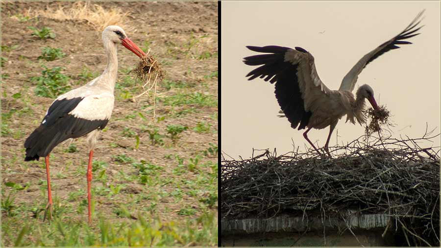 Roda je radila za Prvi maj !!!
