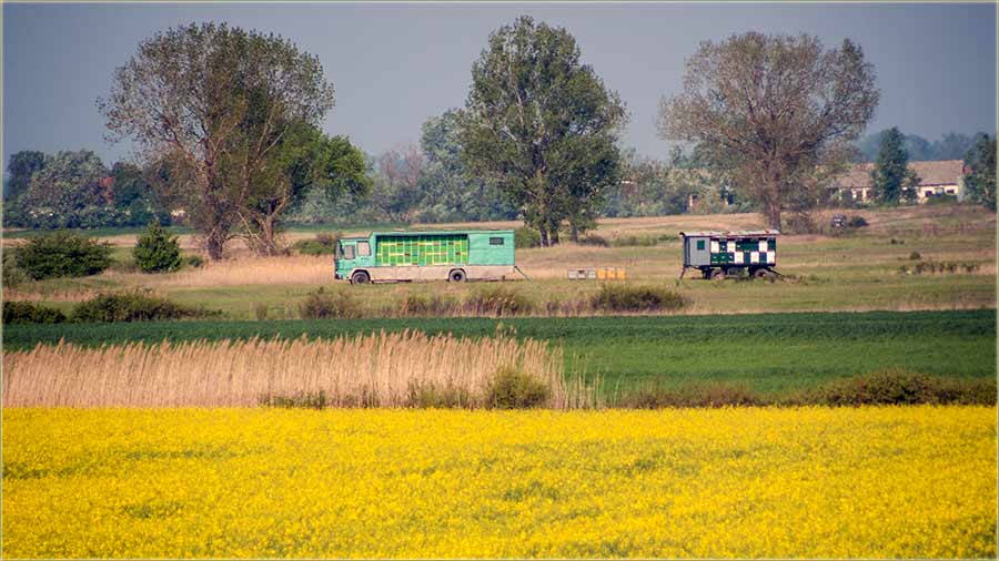 Di nešto cveta, tu su i pčelari !!!