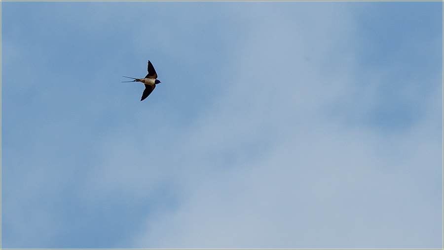 I laste su nam stigleee !!!