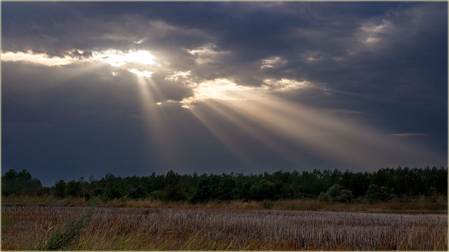 Jesen stie..., dgunjo moja...