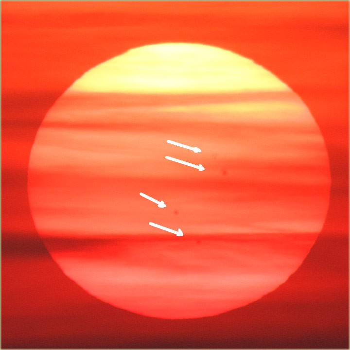 Eto, ijOpet sam uSliko Cuncove pege i to 2 pra !!