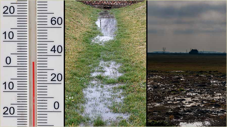 Ej ta..., Baba Mârta !!!