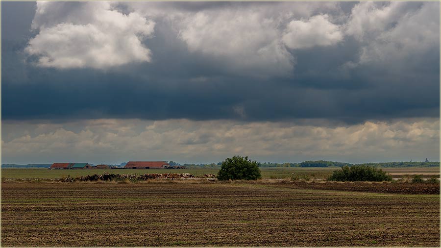 Kod Vs se o'ek..., nema e sklonti od kie !!!