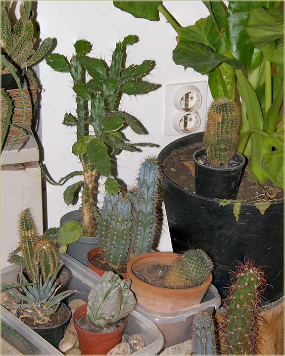 Ajd..., ukljui neto..., ako sme !!!