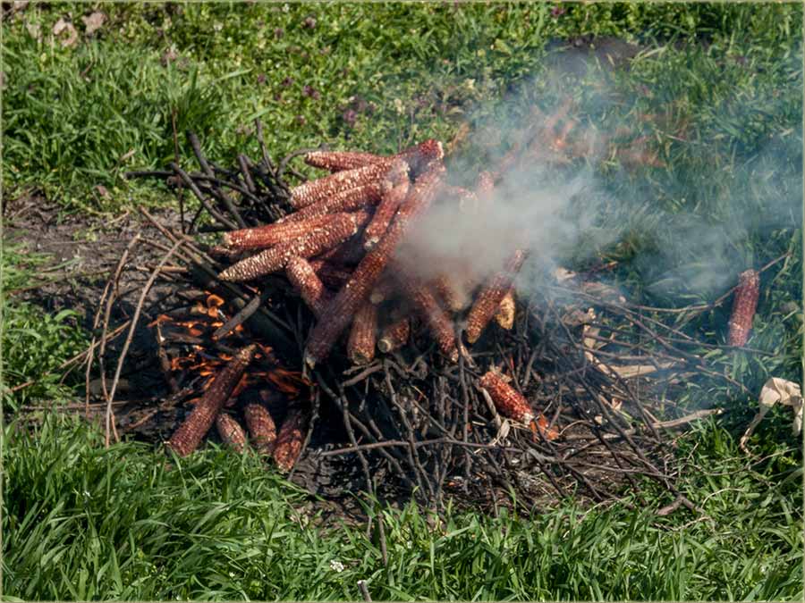 Vatra je uRezata, u nrav ljudcku !!!