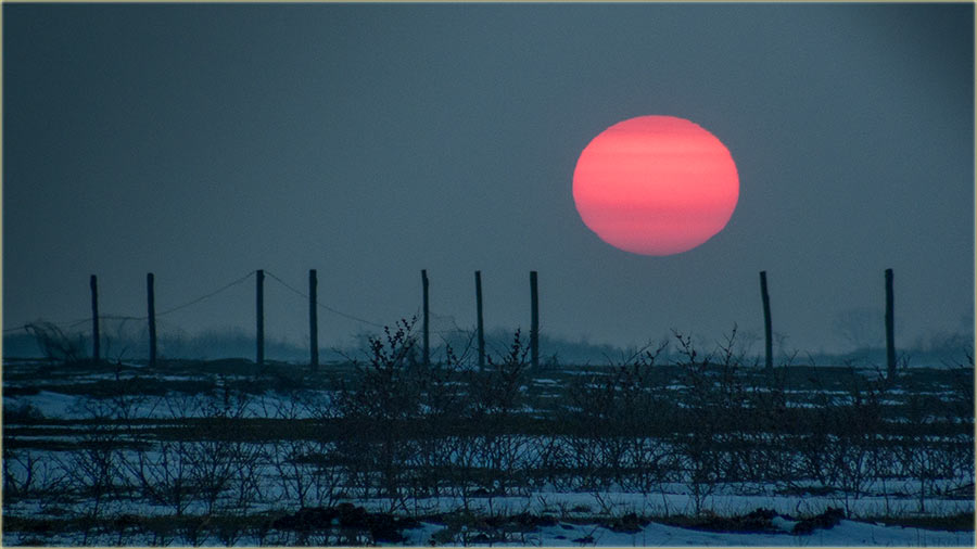 Nije lako uSlikati Cûnce !!!