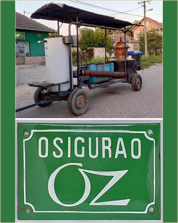 Zorica Batovanov - Nia i Desa..., OZ...