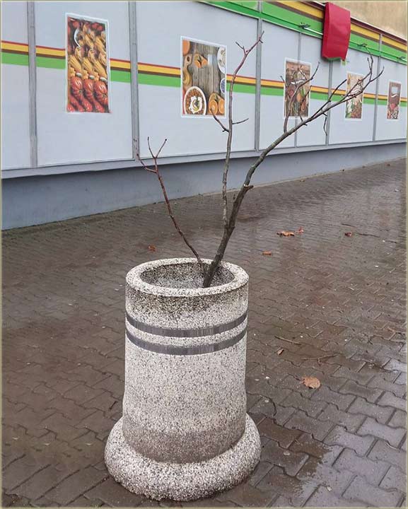 Zorica Baštovanov - Umetnička instalacija ?