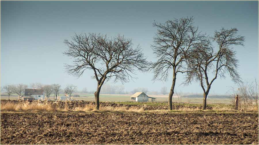Sad je atar, jo uvek brezBjan, brezMirisan...