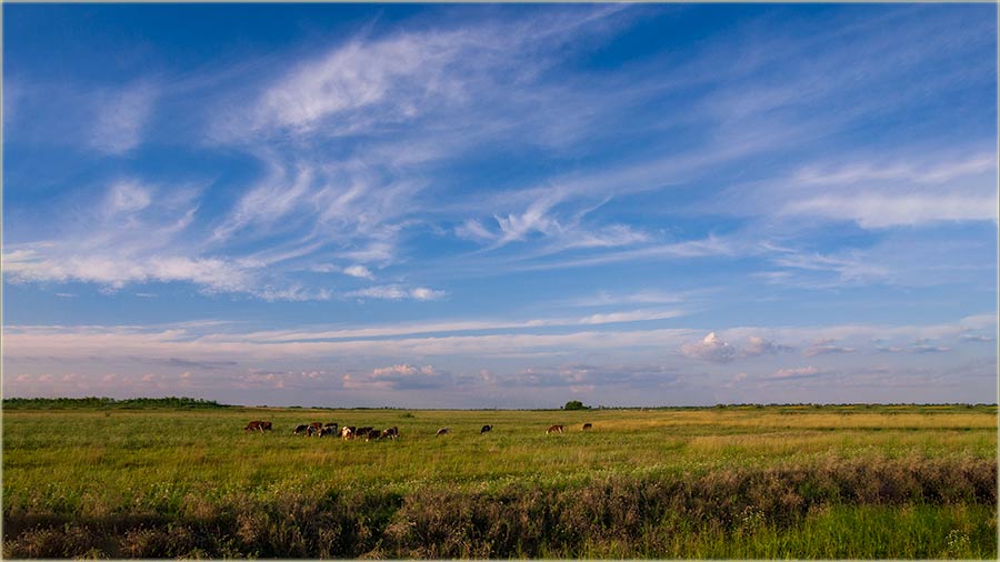 I atar nam je ivno, posla veliki ka !!!