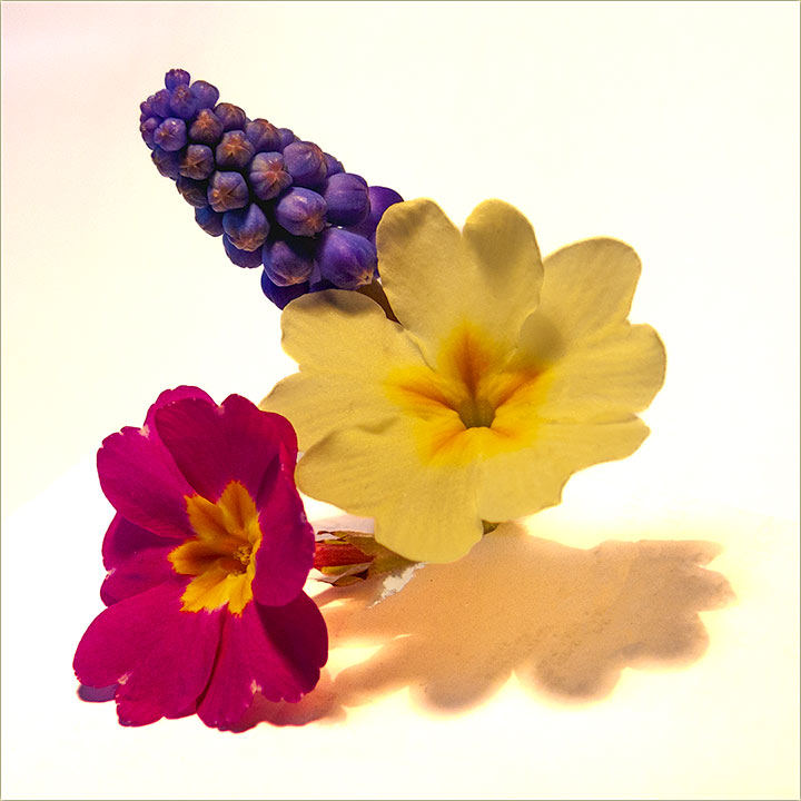 Ta makar i da je mlo..., volem da mi donese !!!