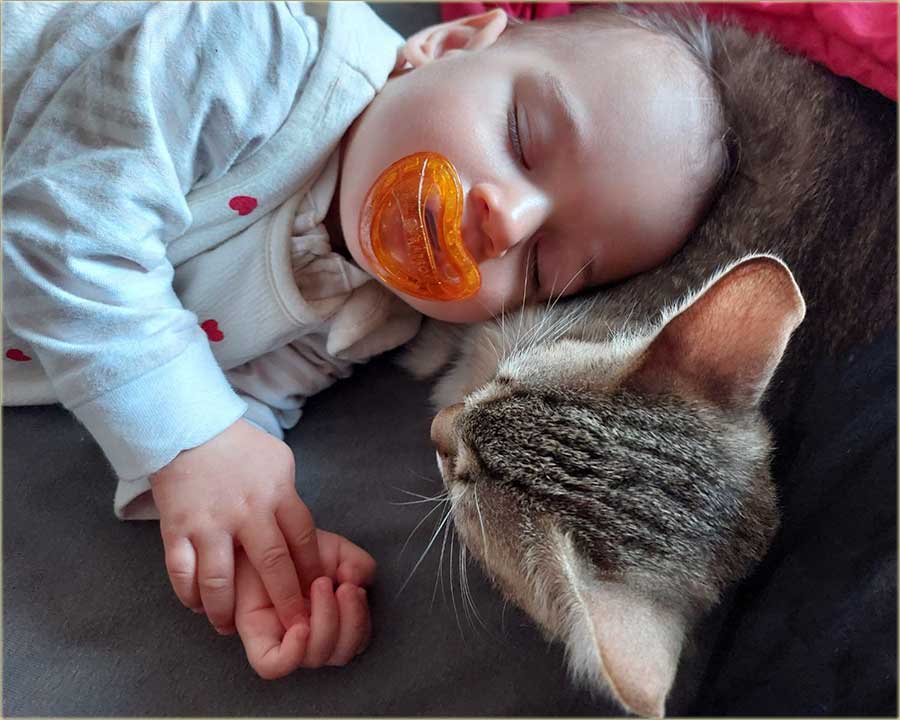 Da i Neo..., dneri i najbolji drugari !!!