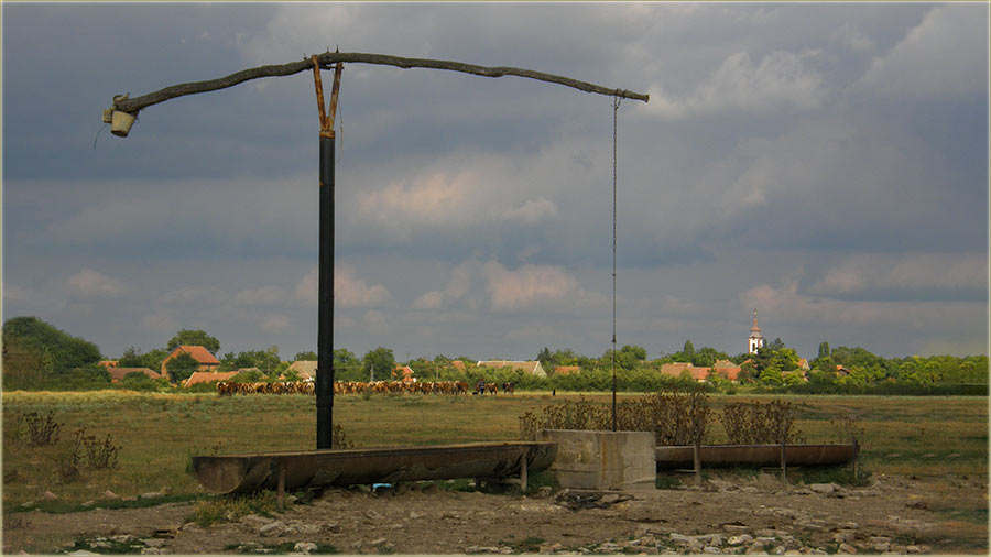 Kontrast ( odnos svetla i tme... )...