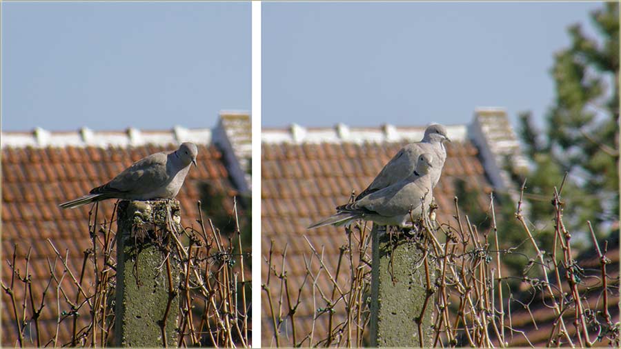 Kad deca nisu besna, kua nije tesna !!!