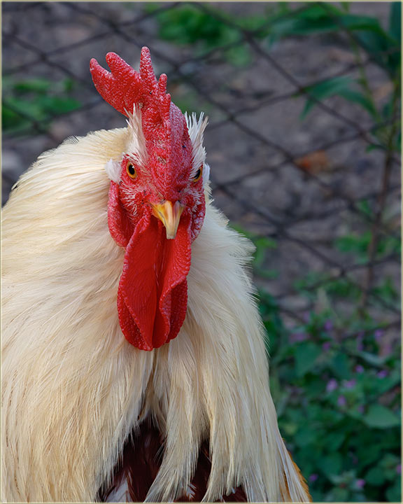 Jel ti to, opet mene slika ?!?