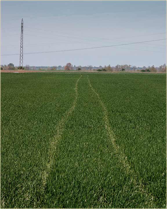 Ti erbicidi neVredidu, ni polak lule duvana !!!