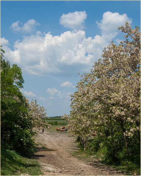 Neto uvek bidne isto...