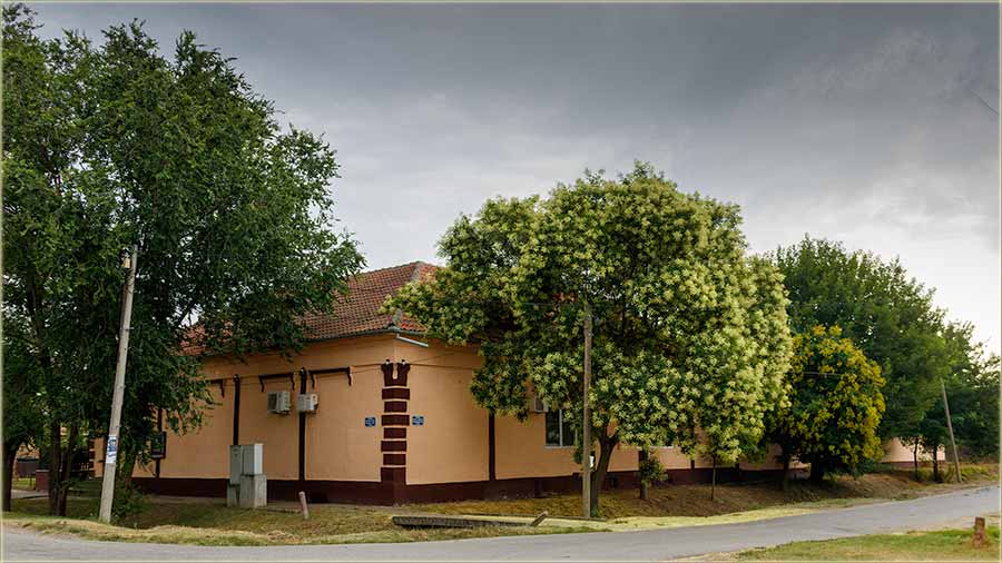 Kav da je prolee..., a ne sûno leto !!!