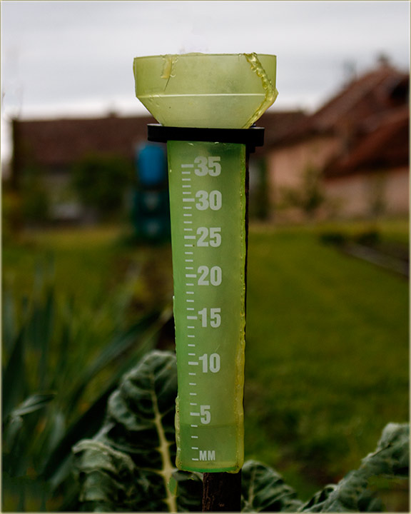 Kolko je to palo kie ?