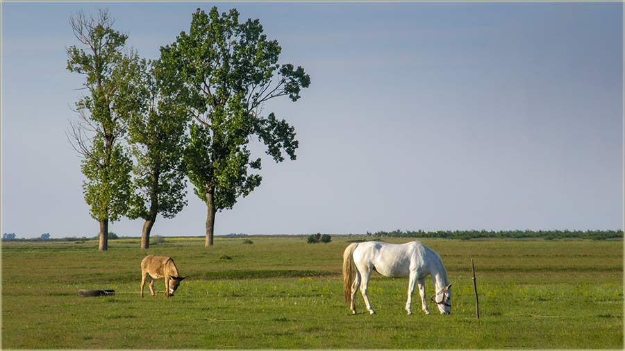 Kolege zajedno na ispau !!!